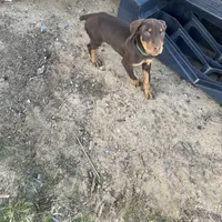 processed/df4cf4b8-b001-4eb0-b786-66f6d5a86172/listing/a57548fd-3177-4f9d-bcb2-190289522435/cad647c2-ee1d-44cc-b54c-ea82c563827a