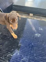 processed/df4cf4b8-b001-4eb0-b786-66f6d5a86172/listing/a57548fd-3177-4f9d-bcb2-190289522435/e0ce8fec-4180-49fe-a5c4-6bd2d03de083