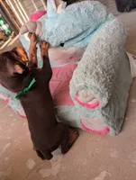 processed/df4cf4b8-b001-4eb0-b786-66f6d5a86172/listing/ce34d0eb-607c-476e-b3ea-c47b13b78540/15c21fda-86ca-4852-a22f-7f12d367fcfb