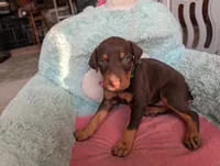 processed/df4cf4b8-b001-4eb0-b786-66f6d5a86172/listing/ce34d0eb-607c-476e-b3ea-c47b13b78540/3723aa4f-3fba-4d12-9310-892ac6643797