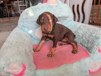 processed/df4cf4b8-b001-4eb0-b786-66f6d5a86172/listing/ce34d0eb-607c-476e-b3ea-c47b13b78540/739b29ee-97b5-4da0-b1d3-46e6e97438fd