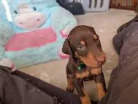 processed/df4cf4b8-b001-4eb0-b786-66f6d5a86172/listing/ce34d0eb-607c-476e-b3ea-c47b13b78540/8518a370-38ea-4e1e-a889-f81c21d4f35f