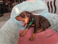 processed/df4cf4b8-b001-4eb0-b786-66f6d5a86172/listing/ce34d0eb-607c-476e-b3ea-c47b13b78540/90da58f9-3a2d-4a10-8a2c-17a165ad3e00