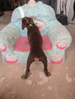 processed/df4cf4b8-b001-4eb0-b786-66f6d5a86172/listing/ce34d0eb-607c-476e-b3ea-c47b13b78540/e04bfa49-c84e-4ebd-9aeb-4b77d4df3fcf