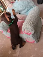 processed/df4cf4b8-b001-4eb0-b786-66f6d5a86172/listing/ce34d0eb-607c-476e-b3ea-c47b13b78540/f61ef400-fcb0-4177-a2c5-6c25c1ae7d23