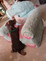 processed/df4cf4b8-b001-4eb0-b786-66f6d5a86172/listing/ce34d0eb-607c-476e-b3ea-c47b13b78540/f9fc471a-926a-49b7-bb76-971bf24e3a27