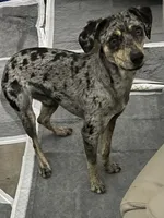 processed/df50e7db-db6c-4418-a17d-4d3aeb1fab97/listing/d9d0bb76-ef75-482c-b6c7-535325222c90/60a6cf96-abe8-4795-9601-fc06c655c20e