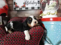 processed/df551651-31fe-4978-9099-764a7242ca24/listing/17c74ddd-e829-4307-9453-764826a66fd0/cf786e12-18d8-4b19-bb1f-ae5b9357c421