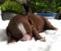 processed/df551651-31fe-4978-9099-764a7242ca24/listing/862f0d96-fbf5-489e-b235-77bf4ee4a0be/0b419c7e-43a9-44ee-88da-83e19d2e7a0c