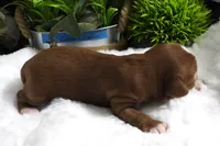 processed/df551651-31fe-4978-9099-764a7242ca24/listing/862f0d96-fbf5-489e-b235-77bf4ee4a0be/a3fce0e1-9033-4ffd-91fd-2831626450ca