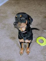 processed/df58a89d-0f5a-440c-bf11-d62f9af60630/listing/b7ff78f8-5e31-408e-b839-0ca48a68f911/36273c71-f17d-476d-8ccd-dcbc54b5ec9e