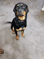 processed/df58a89d-0f5a-440c-bf11-d62f9af60630/listing/b7ff78f8-5e31-408e-b839-0ca48a68f911/c7c1fdb4-b2a9-424e-aed2-1b76ad697a5c