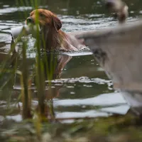 processed/df58d504-db95-4286-b085-2af815e65083/facility/41b96419-c539-4d45-81a6-7519d78db1dd