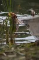 processed/df58d504-db95-4286-b085-2af815e65083/facility/41b96419-c539-4d45-81a6-7519d78db1dd