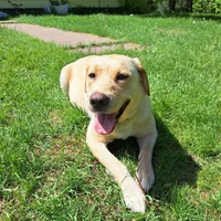 processed/df58d504-db95-4286-b085-2af815e65083/facility/45577708-c97a-4581-896e-f79a80332c54