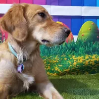 processed/df58d504-db95-4286-b085-2af815e65083/facility/647be6d6-40e1-4daa-8313-efcf3d209791