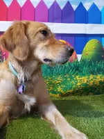 processed/df58d504-db95-4286-b085-2af815e65083/facility/647be6d6-40e1-4daa-8313-efcf3d209791