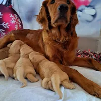 processed/df58d504-db95-4286-b085-2af815e65083/facility/78787cd9-db48-4eba-9f8d-8ed6be50c424