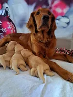 processed/df58d504-db95-4286-b085-2af815e65083/facility/78787cd9-db48-4eba-9f8d-8ed6be50c424