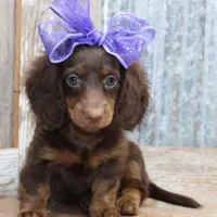 processed/df5a4cbc-e751-46eb-8762-94ef3bc11b3f/facility/2345b4ba-561f-4a86-8288-fea6afcb315f