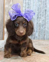 processed/df5a4cbc-e751-46eb-8762-94ef3bc11b3f/facility/2345b4ba-561f-4a86-8288-fea6afcb315f