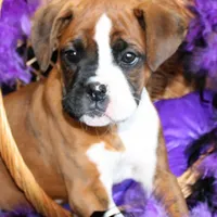 processed/df5a4cbc-e751-46eb-8762-94ef3bc11b3f/facility/44c4a23c-9b41-48a6-a424-21674cefce6f