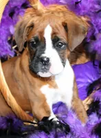 processed/df5a4cbc-e751-46eb-8762-94ef3bc11b3f/facility/44c4a23c-9b41-48a6-a424-21674cefce6f