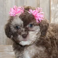 processed/df5a4cbc-e751-46eb-8762-94ef3bc11b3f/facility/4c3b0cc4-b0b3-4a27-a471-bfbf058ce0e8