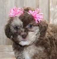 processed/df5a4cbc-e751-46eb-8762-94ef3bc11b3f/facility/4c3b0cc4-b0b3-4a27-a471-bfbf058ce0e8