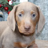 processed/df5a4cbc-e751-46eb-8762-94ef3bc11b3f/facility/6e69c0b9-fb47-4d74-8103-5a8a72f455a0