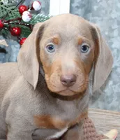 processed/df5a4cbc-e751-46eb-8762-94ef3bc11b3f/facility/6e69c0b9-fb47-4d74-8103-5a8a72f455a0