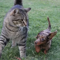 processed/df5a4cbc-e751-46eb-8762-94ef3bc11b3f/facility/80372504-2e29-41aa-a973-f99b67ee5a12