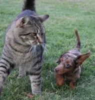 processed/df5a4cbc-e751-46eb-8762-94ef3bc11b3f/facility/80372504-2e29-41aa-a973-f99b67ee5a12