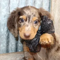 processed/df5a4cbc-e751-46eb-8762-94ef3bc11b3f/facility/9b384e21-b8b1-4a89-9a87-60c11447aabc