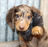 processed/df5a4cbc-e751-46eb-8762-94ef3bc11b3f/facility/9b384e21-b8b1-4a89-9a87-60c11447aabc