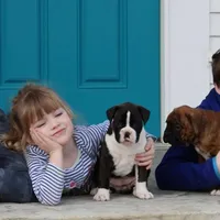 processed/df5a4cbc-e751-46eb-8762-94ef3bc11b3f/facility/a2cf2108-99e5-4821-b816-cf94e6c3f6b4