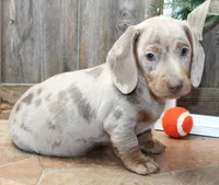 processed/df5a4cbc-e751-46eb-8762-94ef3bc11b3f/facility/b98e5a12-c5e2-4193-a139-f85bfa406e12