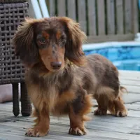 processed/df5a4cbc-e751-46eb-8762-94ef3bc11b3f/facility/f8311bbd-3e15-47e9-b703-4bac595a1a4f