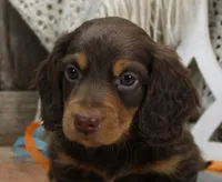 processed/df5a4cbc-e751-46eb-8762-94ef3bc11b3f/listing/7e85d24e-4067-42a8-a569-82f9c355b6a5/1e15fa45-6fbf-4ad8-8a82-a992f71cb9b1