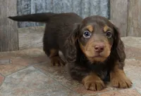 processed/df5a4cbc-e751-46eb-8762-94ef3bc11b3f/listing/7e85d24e-4067-42a8-a569-82f9c355b6a5/311d391e-3e91-4554-be2c-3f2706c04317