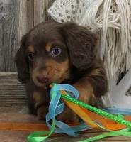 processed/df5a4cbc-e751-46eb-8762-94ef3bc11b3f/listing/7e85d24e-4067-42a8-a569-82f9c355b6a5/3b308ef9-0a10-47af-8b59-cb1083bb50a7