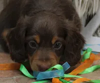 processed/df5a4cbc-e751-46eb-8762-94ef3bc11b3f/listing/7e85d24e-4067-42a8-a569-82f9c355b6a5/9a4bb302-528e-4951-878c-22669cefdab2