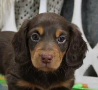 processed/df5a4cbc-e751-46eb-8762-94ef3bc11b3f/listing/7e85d24e-4067-42a8-a569-82f9c355b6a5/c2e1fca6-b3e9-417f-b60a-7796640c7448