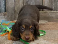 processed/df5a4cbc-e751-46eb-8762-94ef3bc11b3f/listing/7e85d24e-4067-42a8-a569-82f9c355b6a5/c555331c-b734-4960-946d-8254ee3b6713