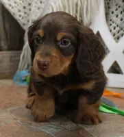 processed/df5a4cbc-e751-46eb-8762-94ef3bc11b3f/listing/7e85d24e-4067-42a8-a569-82f9c355b6a5/f67d396c-2b85-4377-85eb-fd770c7aca83