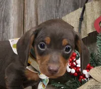 processed/df5a4cbc-e751-46eb-8762-94ef3bc11b3f/listing/f09a247d-1181-418f-91e5-1ab69c96c612/5af7ab30-9d02-4998-9bf7-4205fe81c13c