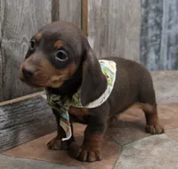 processed/df5a4cbc-e751-46eb-8762-94ef3bc11b3f/listing/f09a247d-1181-418f-91e5-1ab69c96c612/5beccc8e-173d-467c-bbcd-8d6d4330da5f