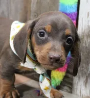 processed/df5a4cbc-e751-46eb-8762-94ef3bc11b3f/listing/f09a247d-1181-418f-91e5-1ab69c96c612/639b5abb-9703-470a-9ae8-2c1d400da1cc