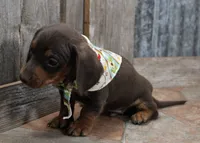 processed/df5a4cbc-e751-46eb-8762-94ef3bc11b3f/listing/f09a247d-1181-418f-91e5-1ab69c96c612/a79063fb-09fc-4ba3-8975-2a333e037e3e