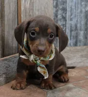 processed/df5a4cbc-e751-46eb-8762-94ef3bc11b3f/listing/f09a247d-1181-418f-91e5-1ab69c96c612/f72e61d5-14d9-4caa-99f2-3e9dfc81cc5c